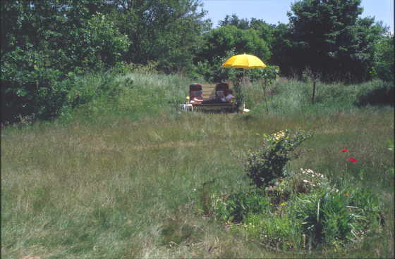Ferienhaus - der Garten mit Sitzecke